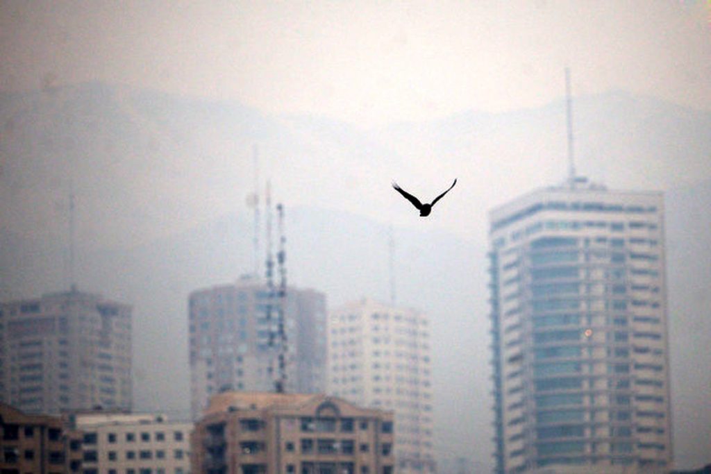 وزارت بهداشت : بدلیل  آلودگی هوا مراجعه به مراکز درمانی ۳ برابر شد