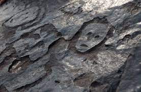 سنگ‌نگاره‌های باستانی بر اثر خشکسالی آشکار شدند